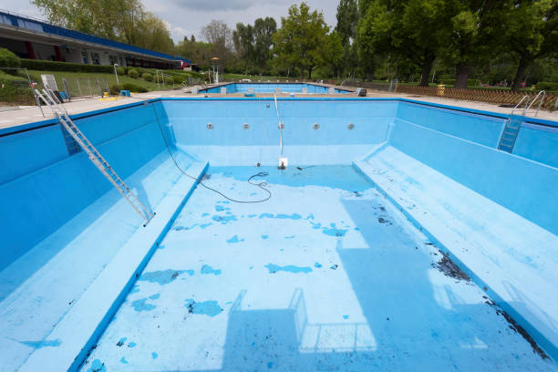 Best Professional water damage repair  in Chatmoss, VA