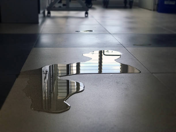 Best Water damage repair service  in Chatmoss, VA