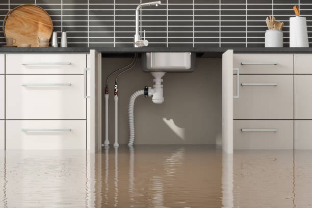 Best Basement water damage restoration  in Chatmoss, VA